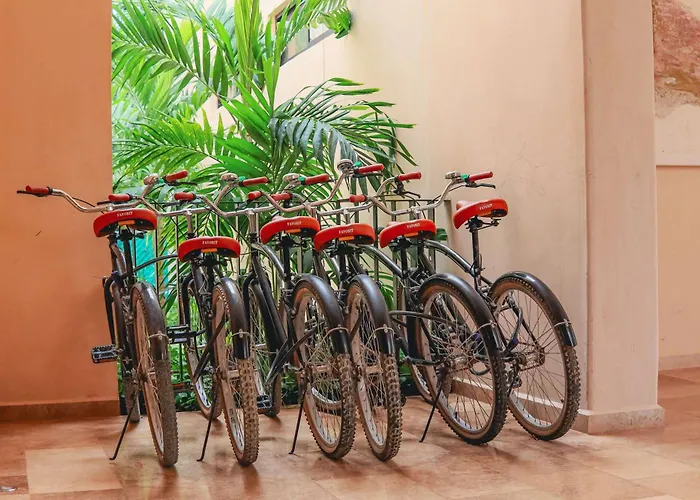 1st Flr Chic Jungle 1br Priv Pool Steam & Gym Tulum